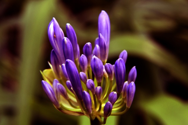 我懂用户晒视频：兰克尔趁队友客场比赛，去俱乐部偷队友的鞋