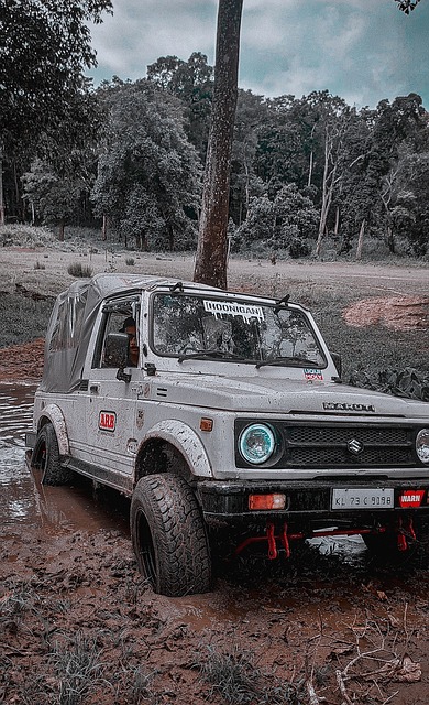 印尼羽球超 印尼羽球超