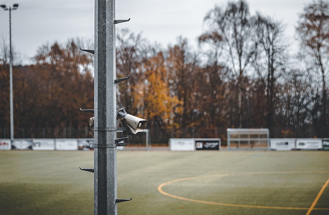 写欢乐与健 写欢乐与健