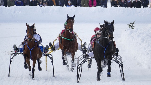 战术的灵活 战术的灵活