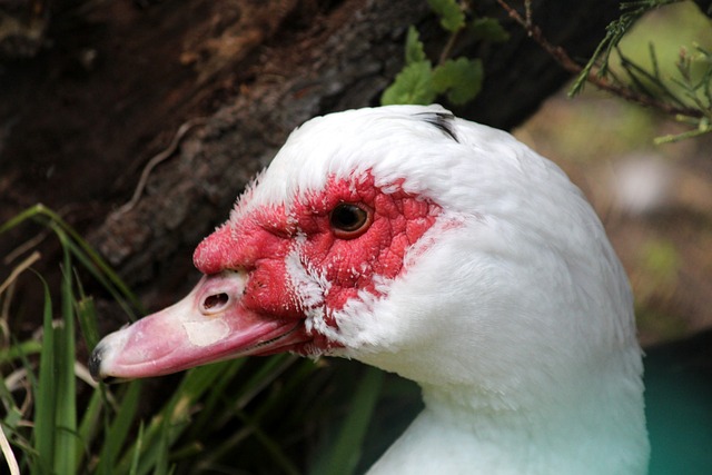 位核心球员 位核心球员