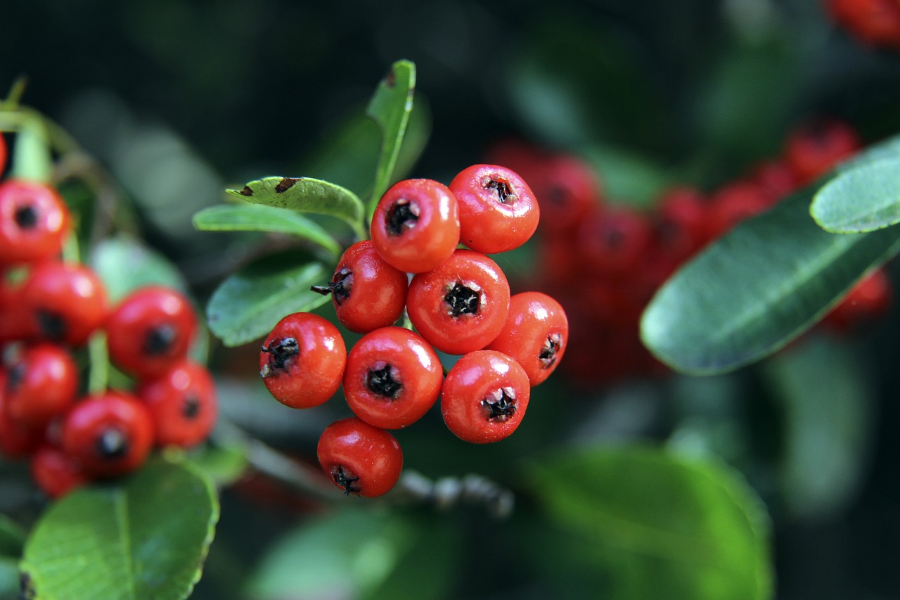 对手退出会 对手退出会