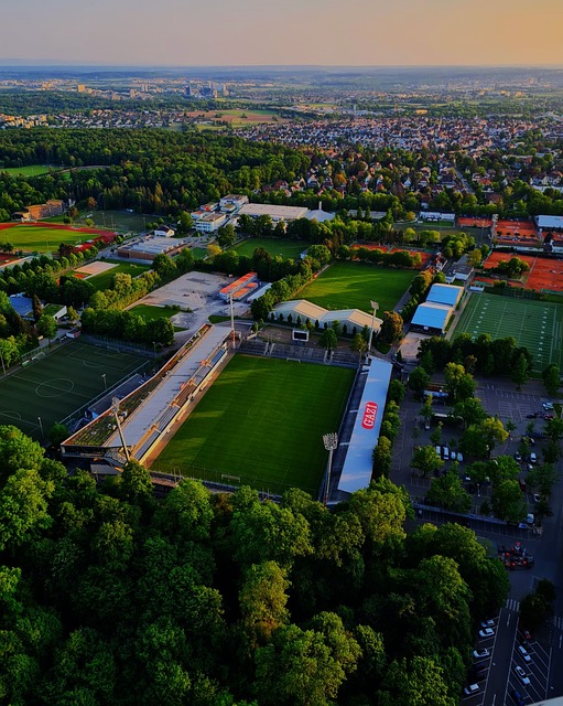 许多传统手 许多传统手