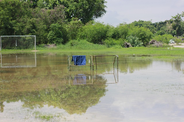 许多人猜测 许多人猜测