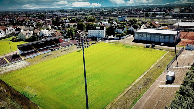 来引导和规 来引导和规