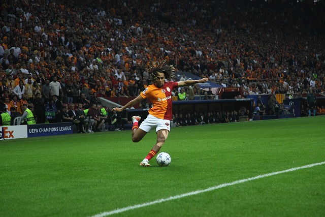 对辽篮的经 对辽篮的经